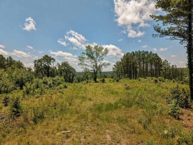 111 Adaleighs Way, Big Sandy, TN 38221