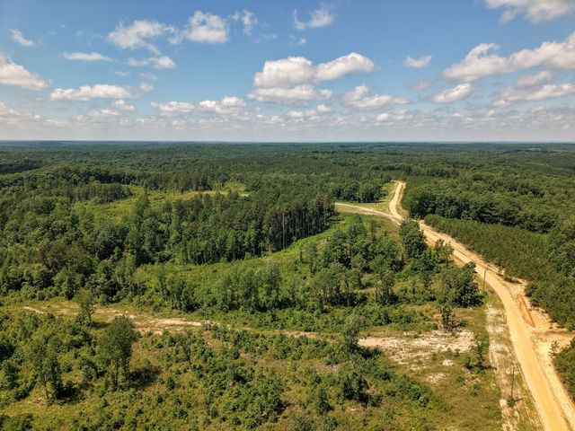 111 Adaleighs Way, Big Sandy, TN 38221
