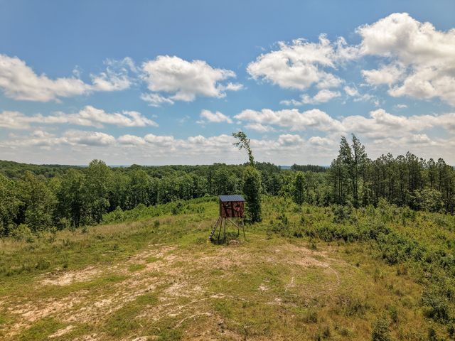 111 Adaleighs Way, Big Sandy, TN 38221