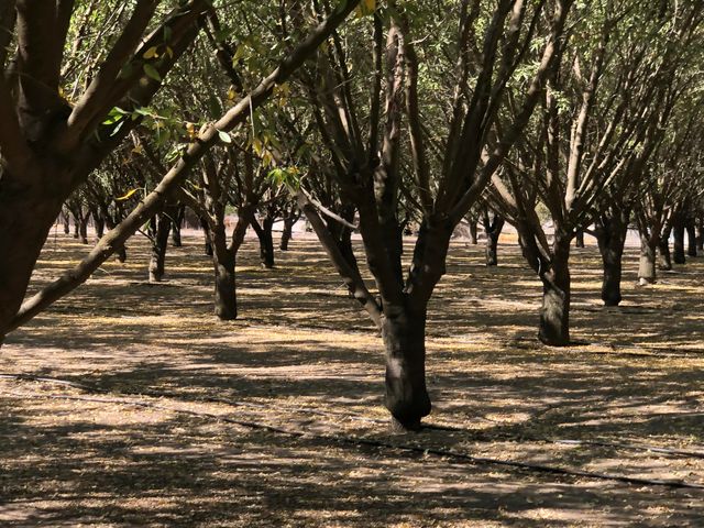 000 W Marinette Avenue, Exeter, CA 93221