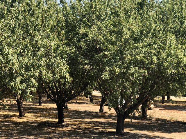 000 W Marinette Avenue, Exeter, CA 93221