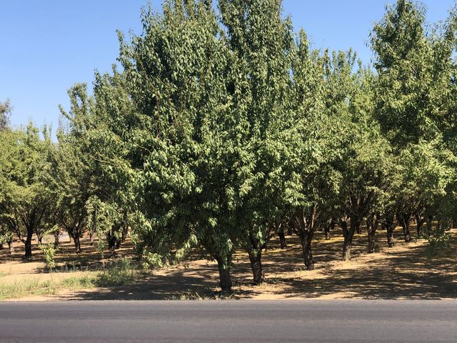 000 W Marinette Avenue, Exeter, CA 93221