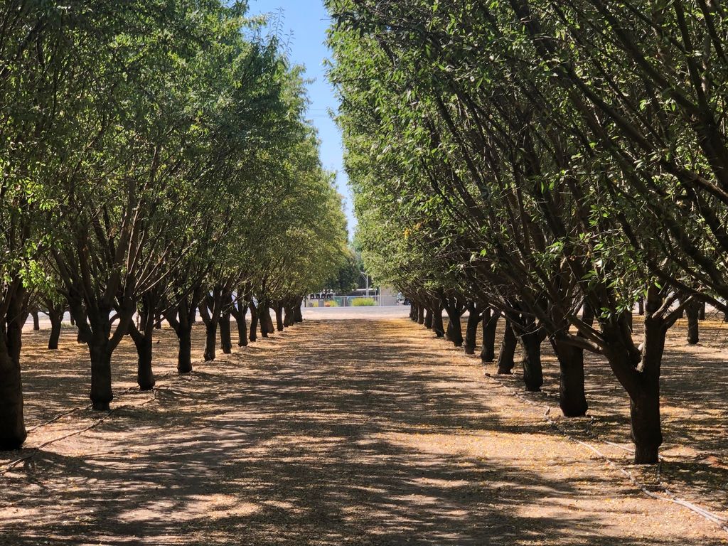 000 W Marinette Avenue, Exeter, CA 93221