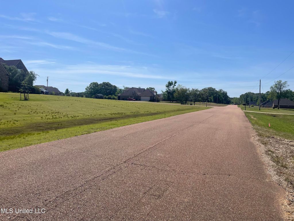 152 Oak Manor Drive, Coldwater, MS 38618 — photo 3