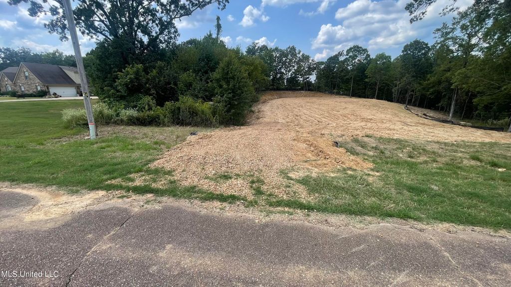 152 Oak Manor Drive, Coldwater, MS 38618 — photo 5
