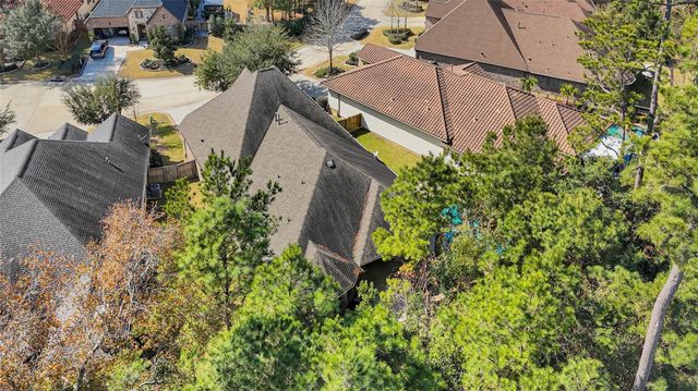 110 Lily Green Court, Conroe, TX 77304