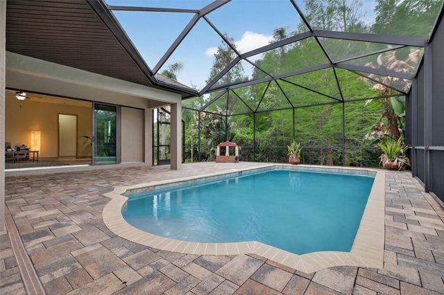 1607 ABYSS DRIVE, Odessa, FL 33556