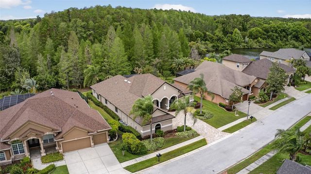 1607 ABYSS DRIVE, Odessa, FL 33556