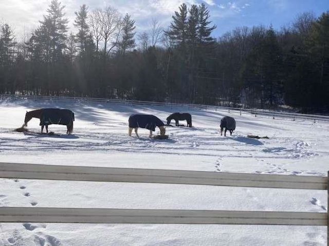 65 Widow Moses Road, Berlin, VT 05602