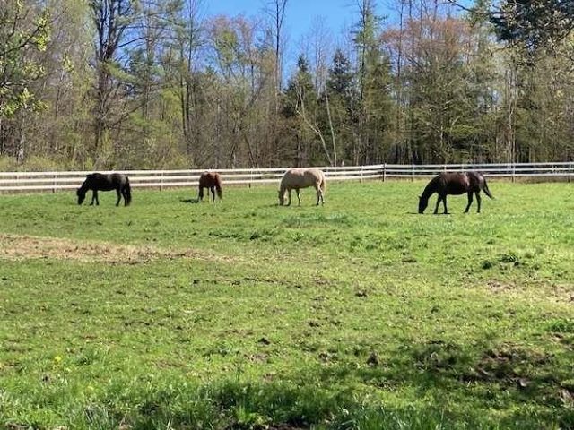 65 Widow Moses Road, Berlin, VT 05602