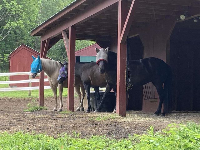 65 Widow Moses Road, Berlin, VT 05602