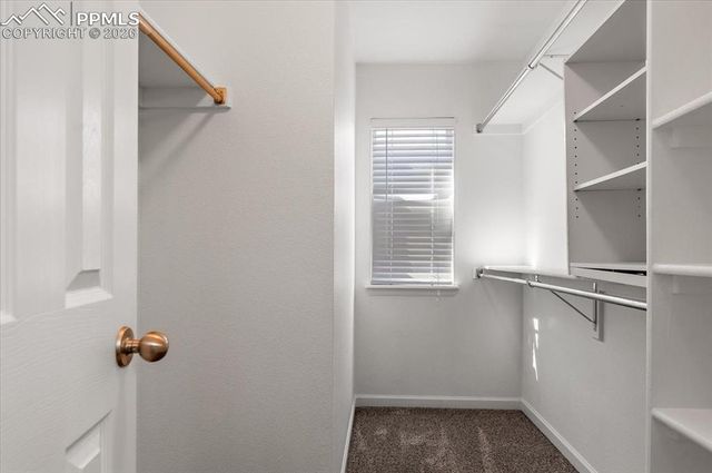 7374 Steward Lane, Colorado Springs, CO 80922