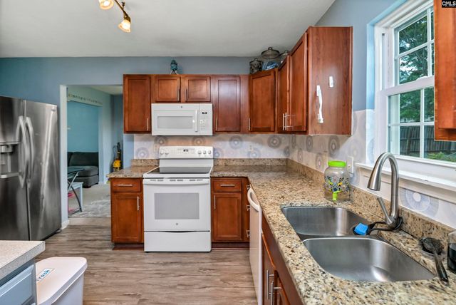 116 Wingspan Way, Chapin, SC 29036