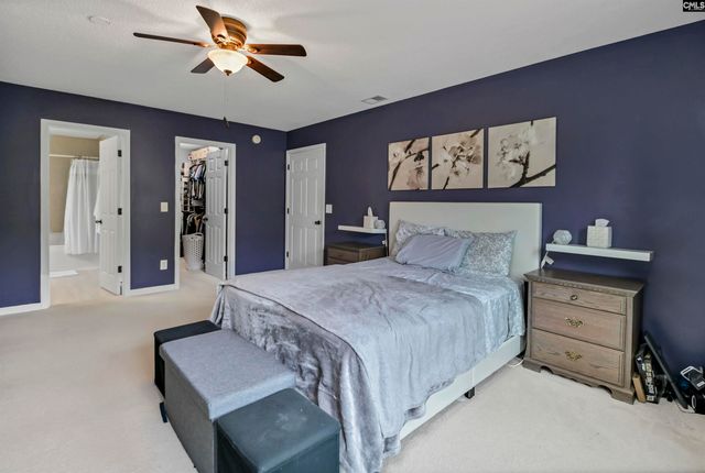 116 Wingspan Way, Chapin, SC 29036