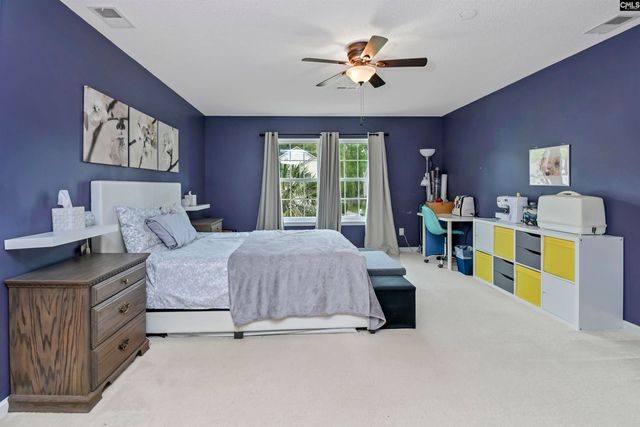 116 Wingspan Way, Chapin, SC 29036