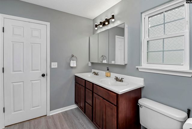 116 Wingspan Way, Chapin, SC 29036