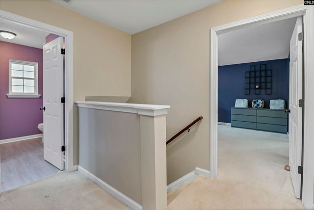 116 Wingspan Way, Chapin, SC 29036