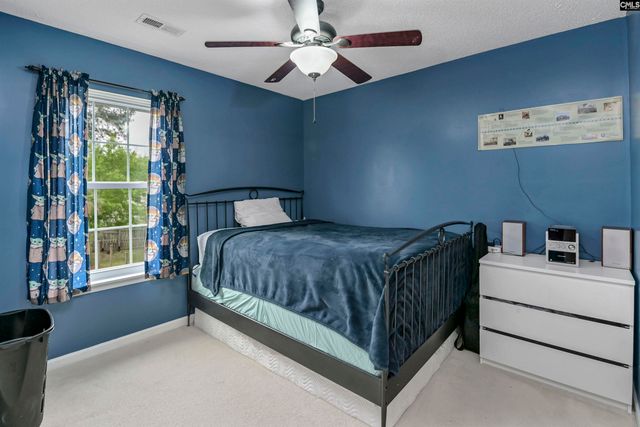 116 Wingspan Way, Chapin, SC 29036