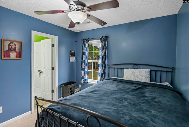 116 Wingspan Way, Chapin, SC 29036
