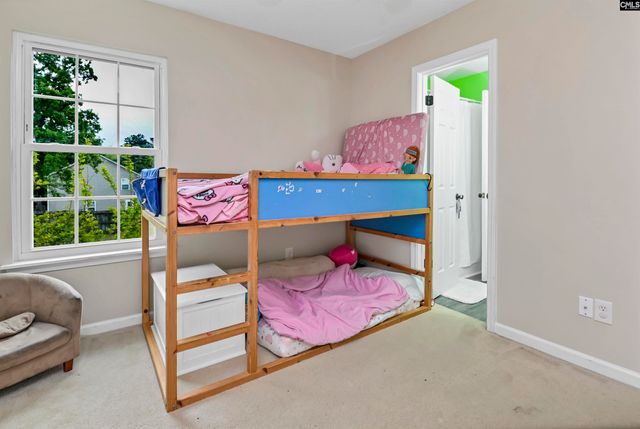 116 Wingspan Way, Chapin, SC 29036