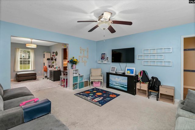 116 Wingspan Way, Chapin, SC 29036