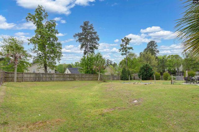 116 Wingspan Way, Chapin, SC 29036