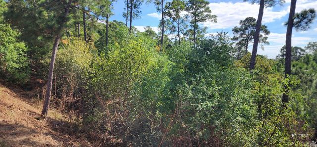 141 Mahalua, Bastrop, TX 78602
