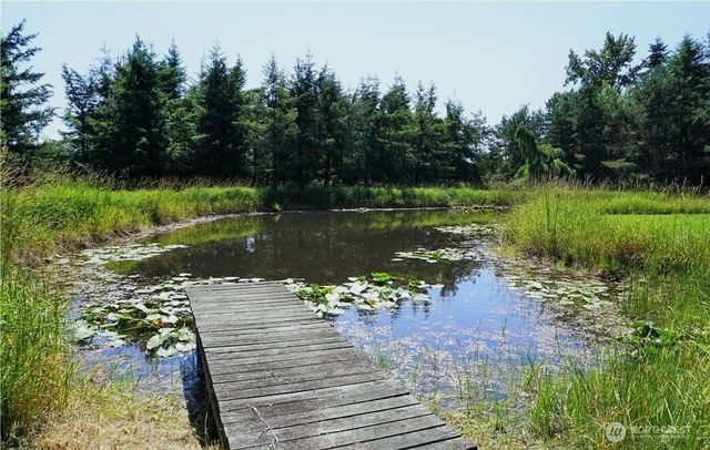 41019 Dean Kreger Road E, Eatonville, WA 98328