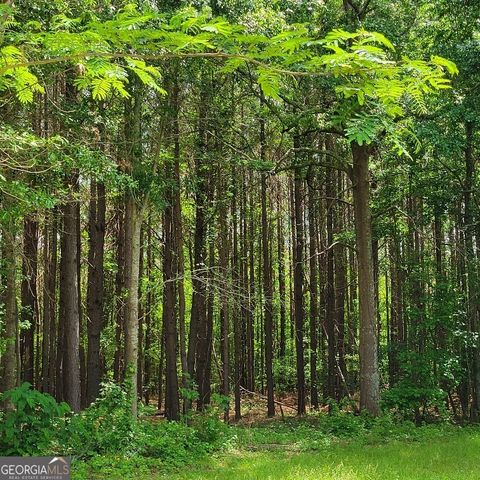 5321 S HWY 15, Siloam, GA 30665