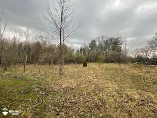 0 N Linden Road, Clio, MI 48420