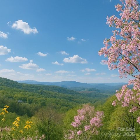 114 Spruce Hollow Road, Beech Mountain, NC 28604