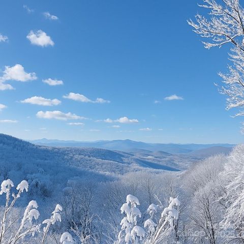 114 Spruce Hollow Road, Beech Mountain, NC 28604