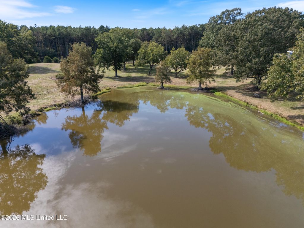 3407 Yellow Dog Road, Senatobia, MS 38668 — photo 5