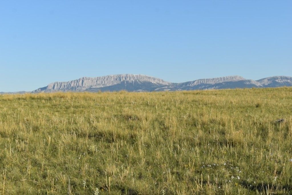 Lot 50 Meadowlark Lane, Augusta, MT 59410 photo 2