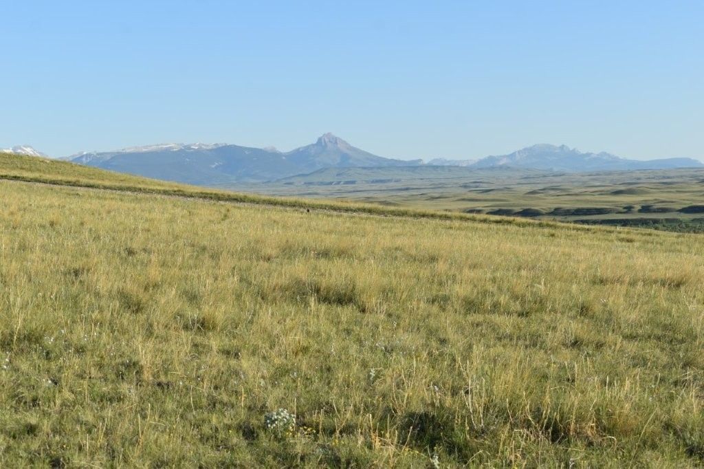 Lot 50 Meadowlark Lane, Augusta, MT 59410 photo 4