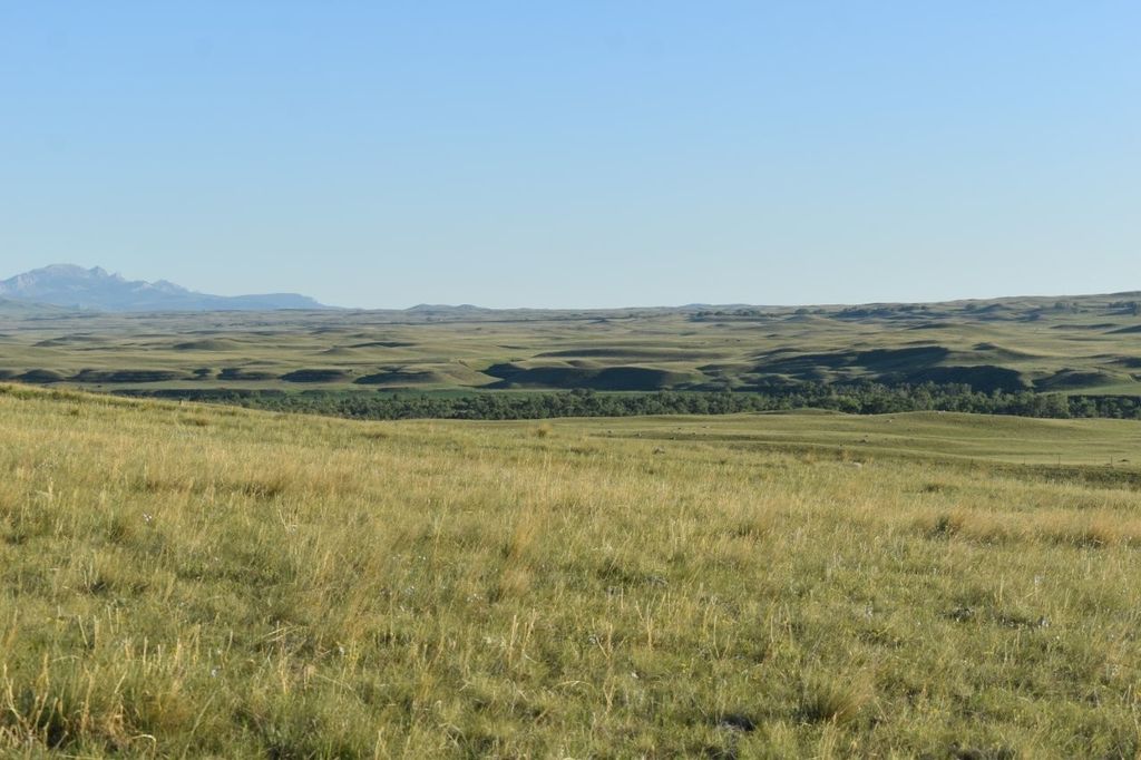 Lot 50 Meadowlark Lane, Augusta, MT 59410 photo 5
