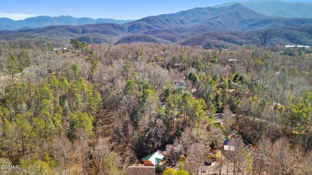 638 Morning Mist Way, Gatlinburg, TN 37738