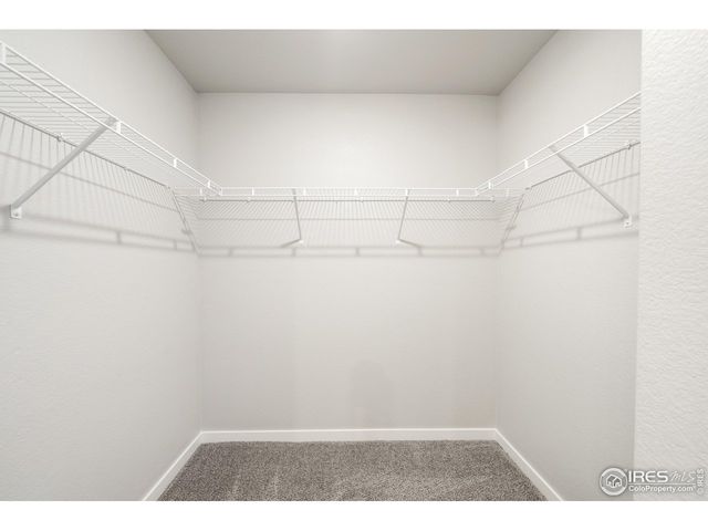 309 Pony Express Trl, Ault, CO 80610