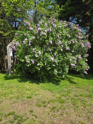 80 Wildlife Boulevard, Belmont, NH 03220