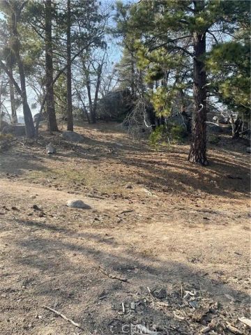 0 Forrest Dr, Running Springs, CA 92382