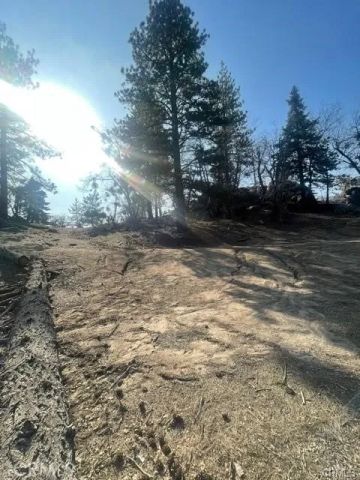 0 Forrest Dr, Running Springs, CA 92382