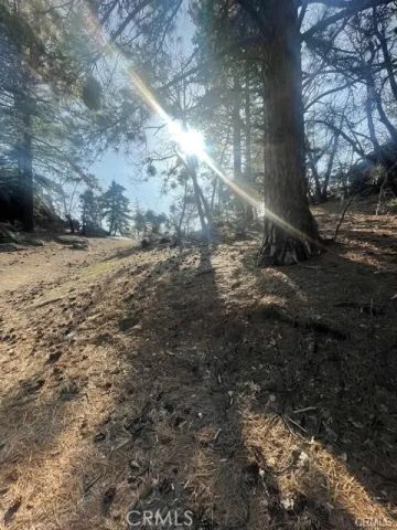 0 Forrest Dr, Running Springs, CA 92382