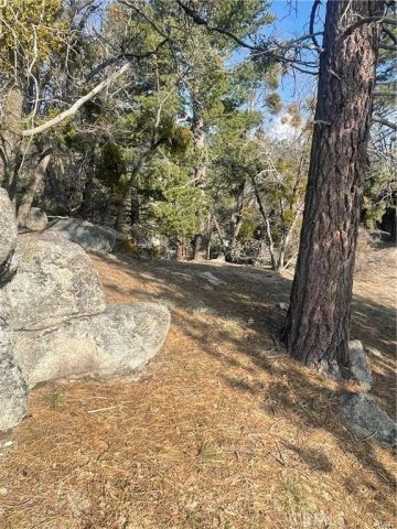 0 Forrest Dr, Running Springs, CA 92382