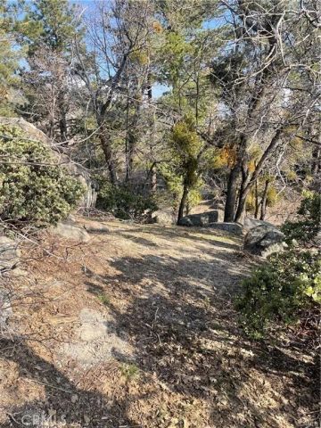 0 Forrest Dr, Running Springs, CA 92382