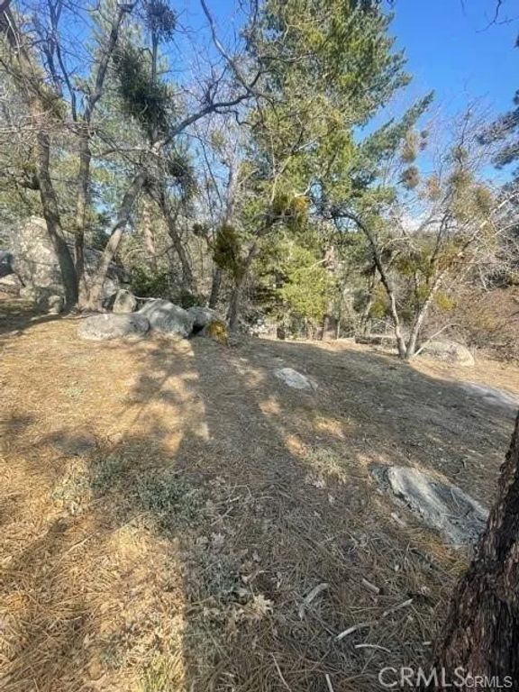 0 Forrest Dr, Running Springs, CA 92382