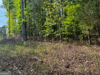 0 Waterview Lot 34 Drive, Lagrange, GA 30241