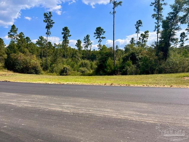 Lot 31 Morgans Branch, Molino, FL 32577