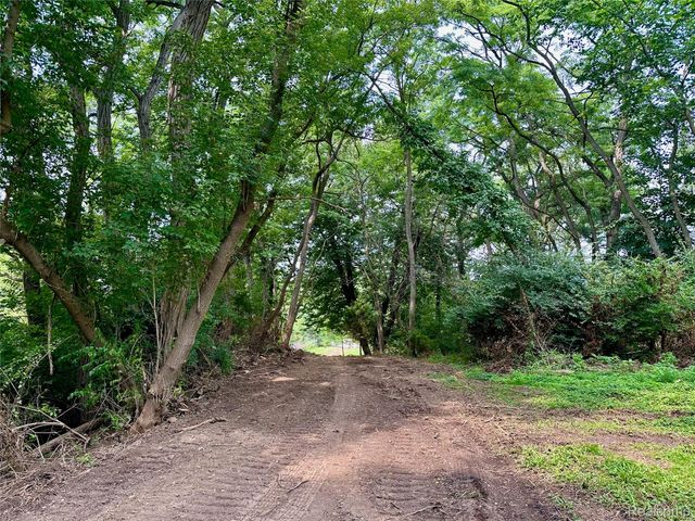 0 Latson Road, Oceola Township, MI 48843