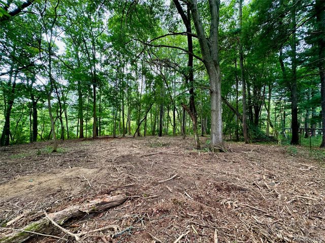 0 Latson Road, Oceola Township, MI 48843
