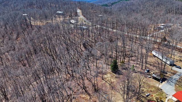 1 Rattlesnake Rd, Mcminnville, TN 37110